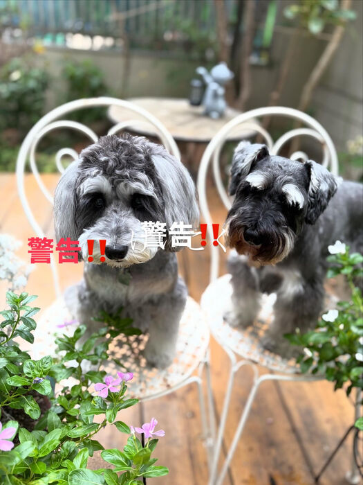 ブログ画像