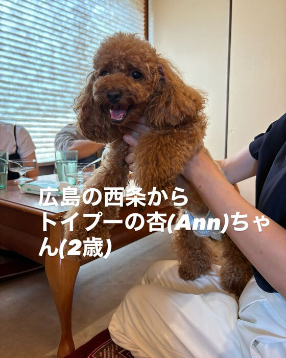 ブログ画像