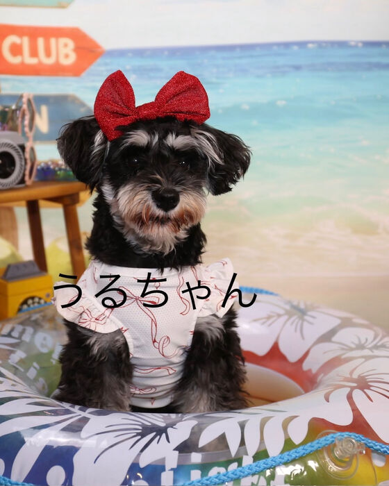 ブログ画像