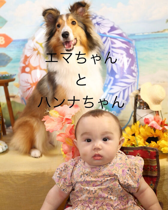 ブログ画像