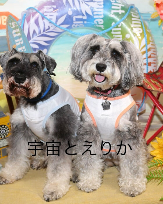 ブログ画像