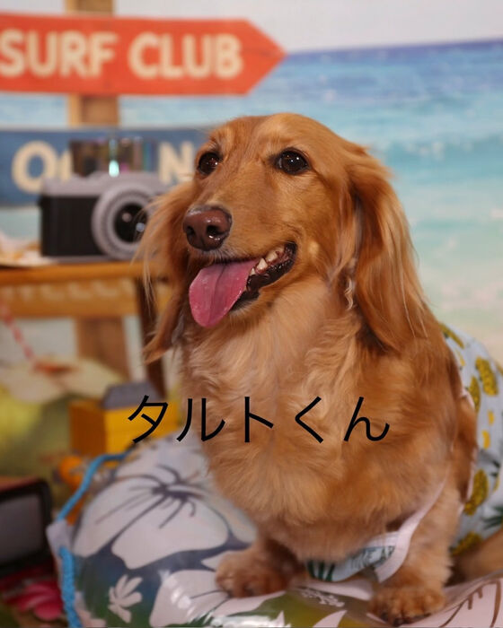 ブログ画像