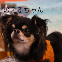 ブログ画像