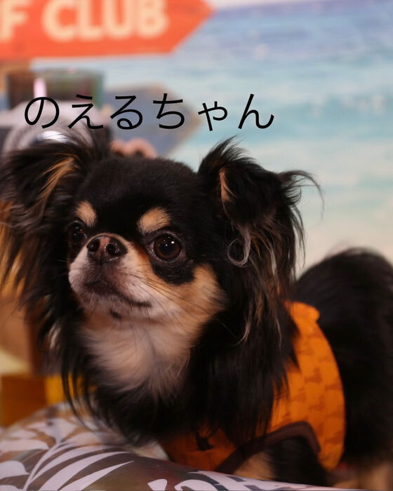 ブログ画像