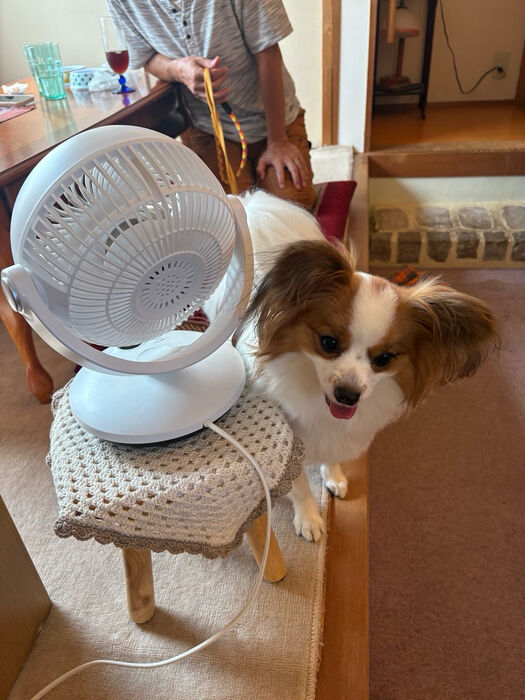 ブログ画像