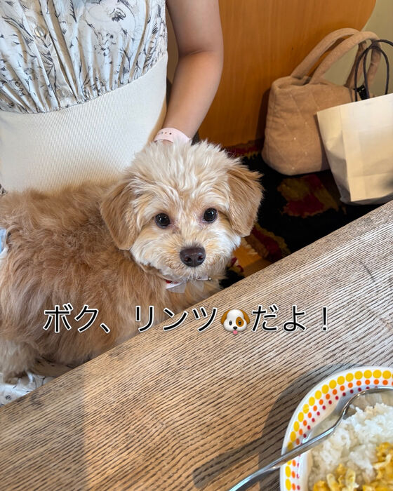 ブログ画像