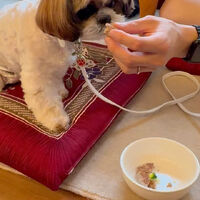 動画サムネイル