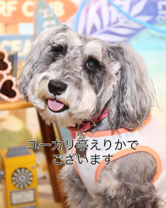 ブログ画像