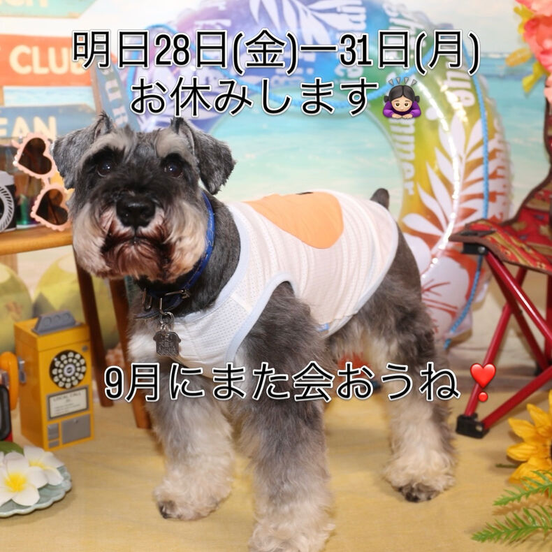 画像2636：ザ・カフェ・ユーカリプタス臨時休業のお知らせです