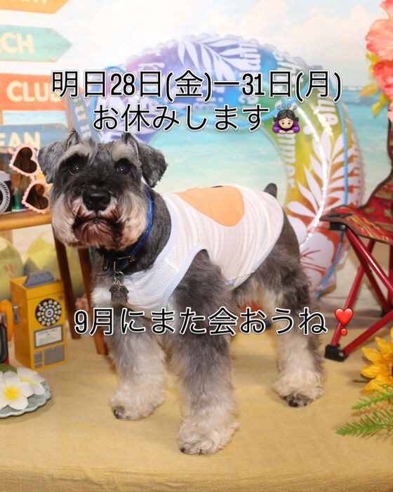 ブログ画像
