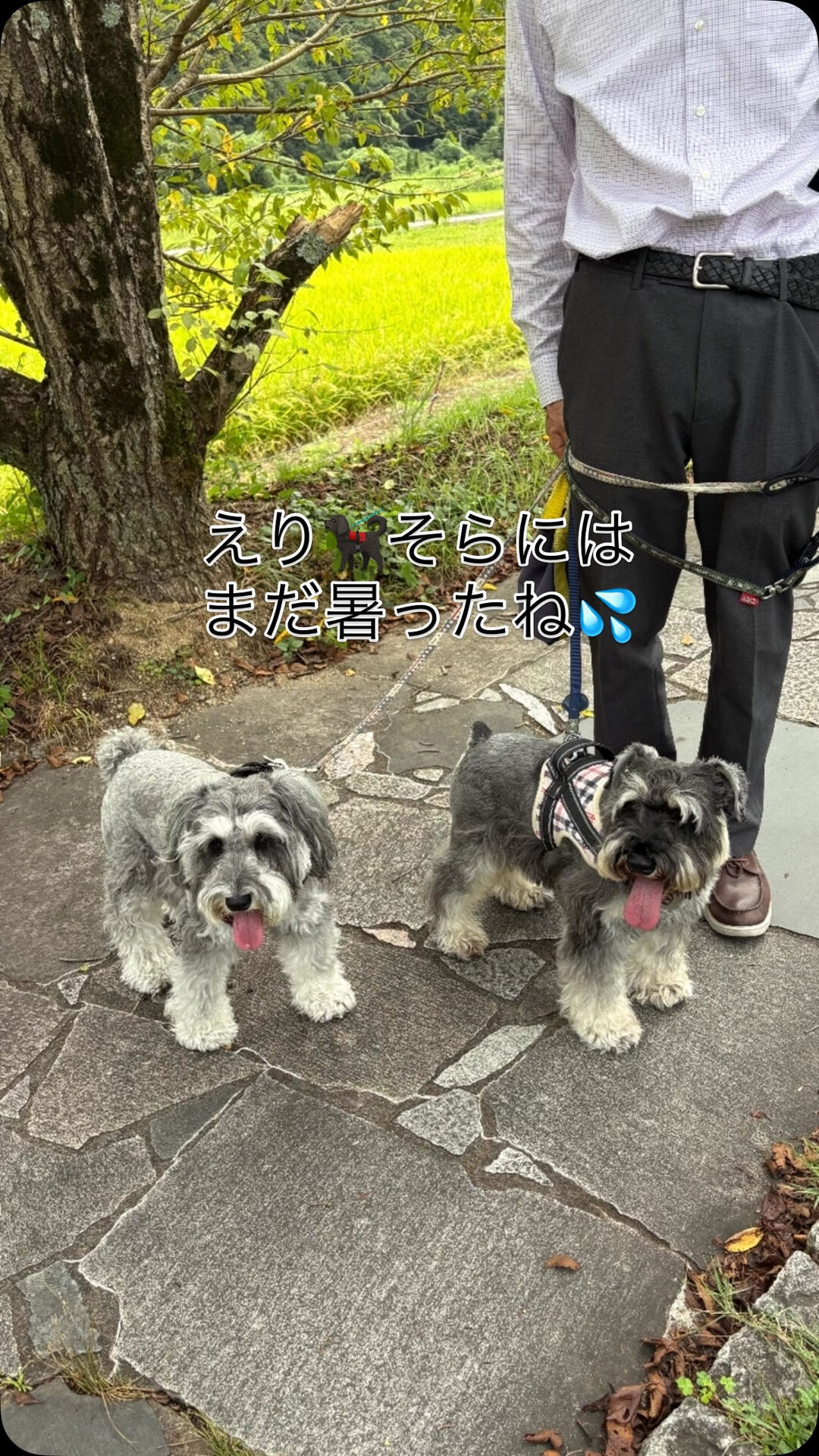 久々のドライブで、父の故郷久米南町に行きました🚐子供の頃は岡