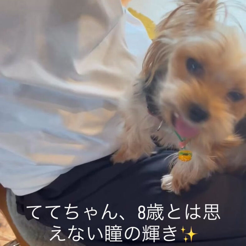 動画サムネイル