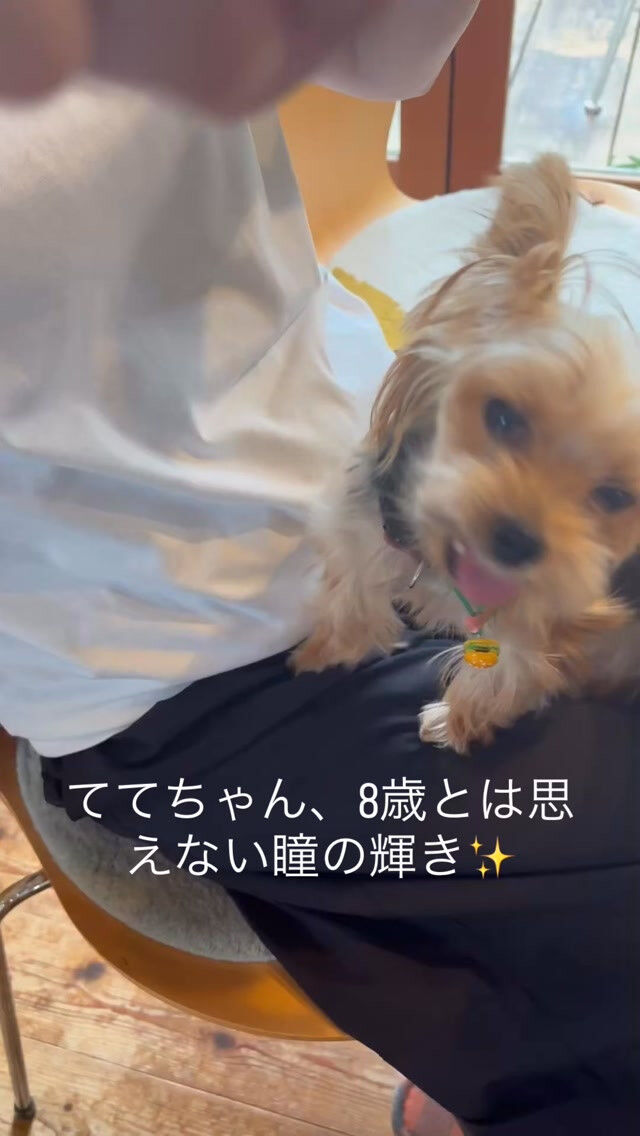雨上がりの倉敷市です