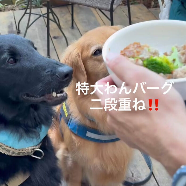 動画サムネイル