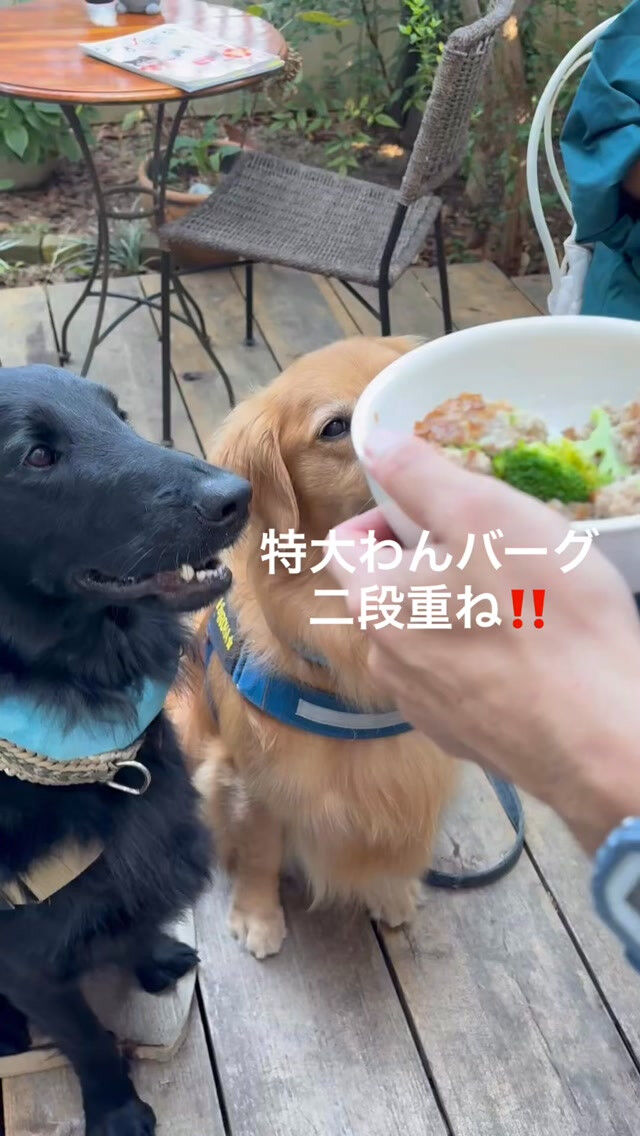 なんだか暑い倉敷市です😵