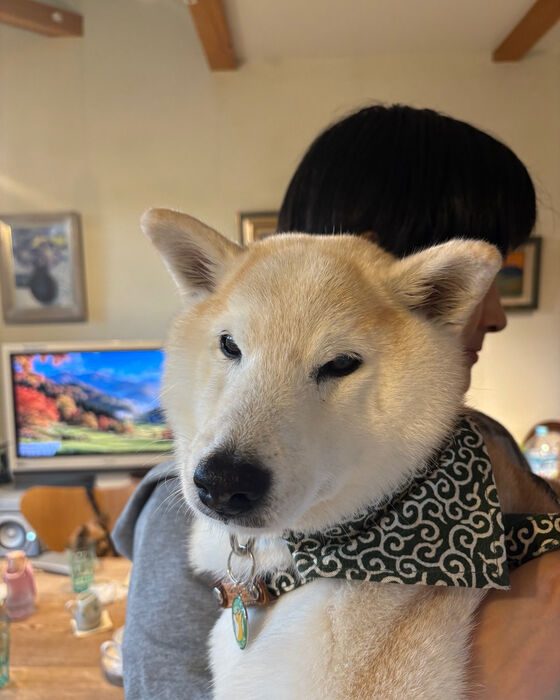 ブログ画像