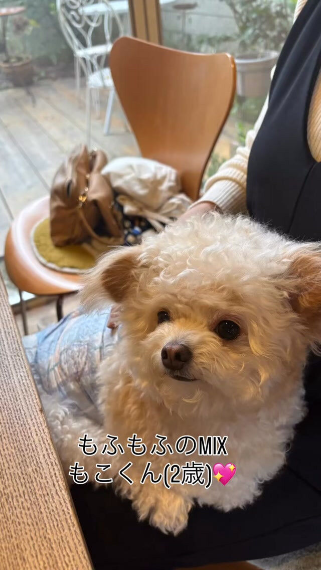 なんとか雨の上がった倉敷市です